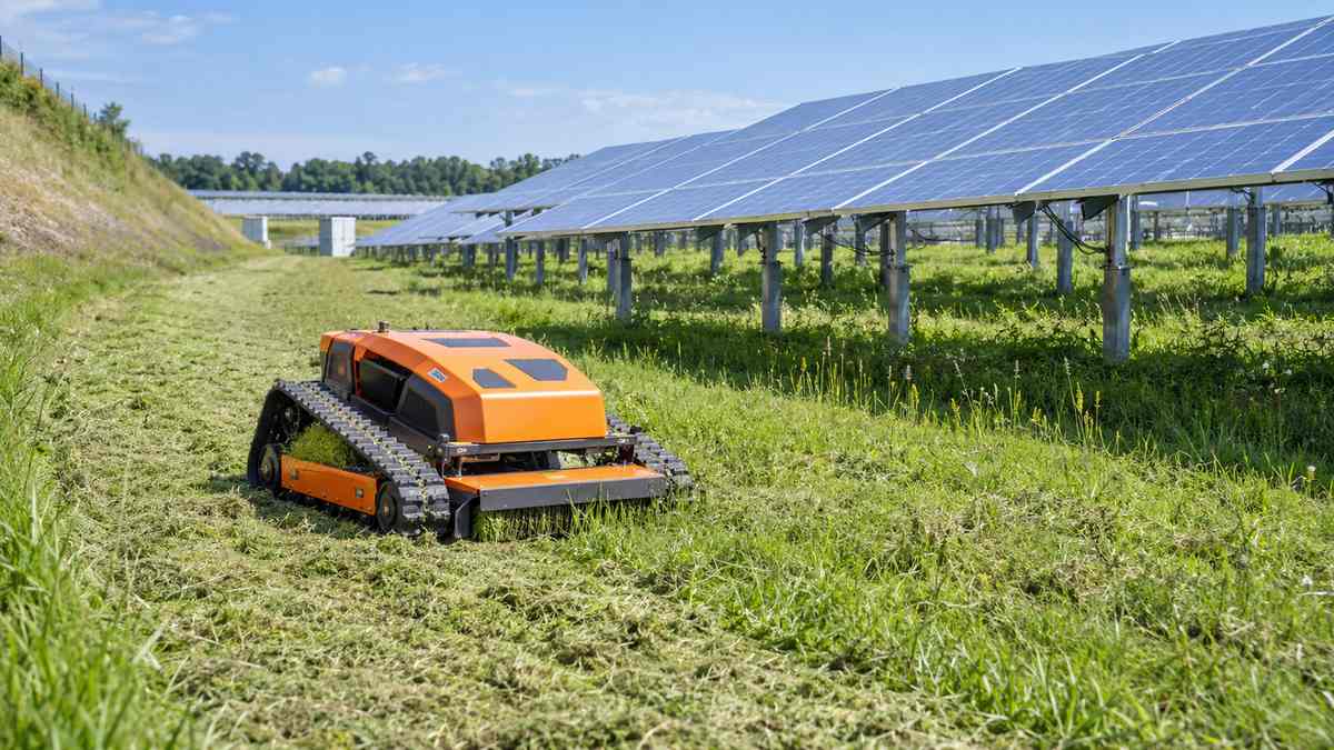 AI-generated solar farm vegetation maintenance illustration